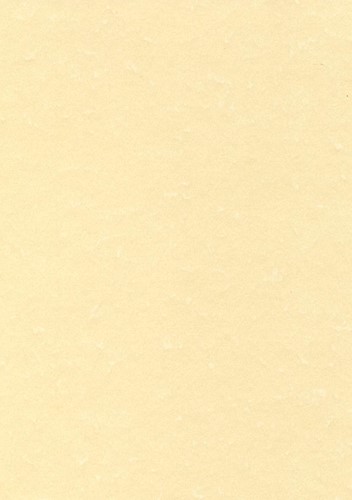 Decadry papier à structure champagne, 165 g, paquet de 50 feuilles