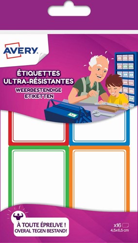 Avery Family étiquettes ultra-résistantes, 4,5 x 6,5 cm, étui brochable avec 16 étiquettes en couleurs