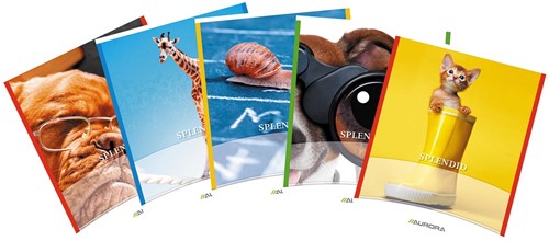 Splendid cahier, 36 pages, ft 16,5 x 21 cm, 2 lignes