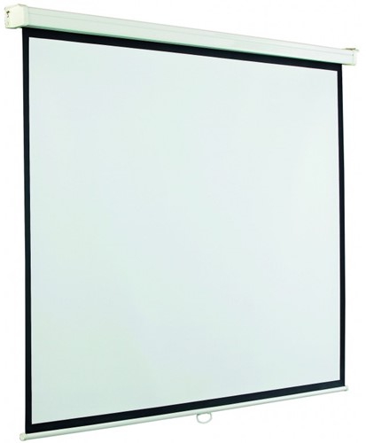 244 x 186 cm. Zichtmaat : 146x234 cm 
